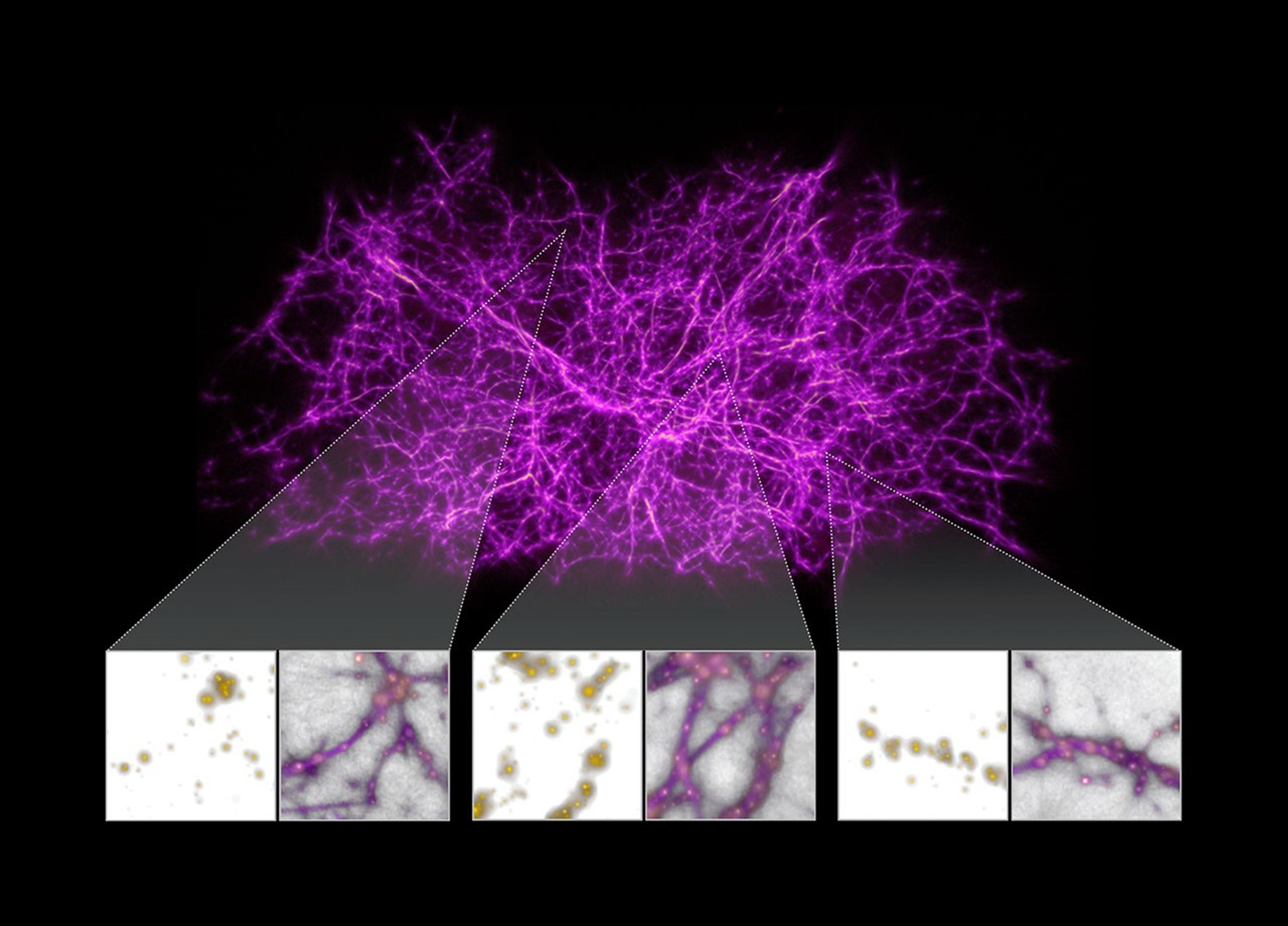 Comparaison toile cosmique et réseaux du Physarum, Burchett et al.